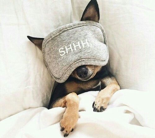 睡眠アプリはどんな仕組みで動いている?効果が高い無料アプリの裏側