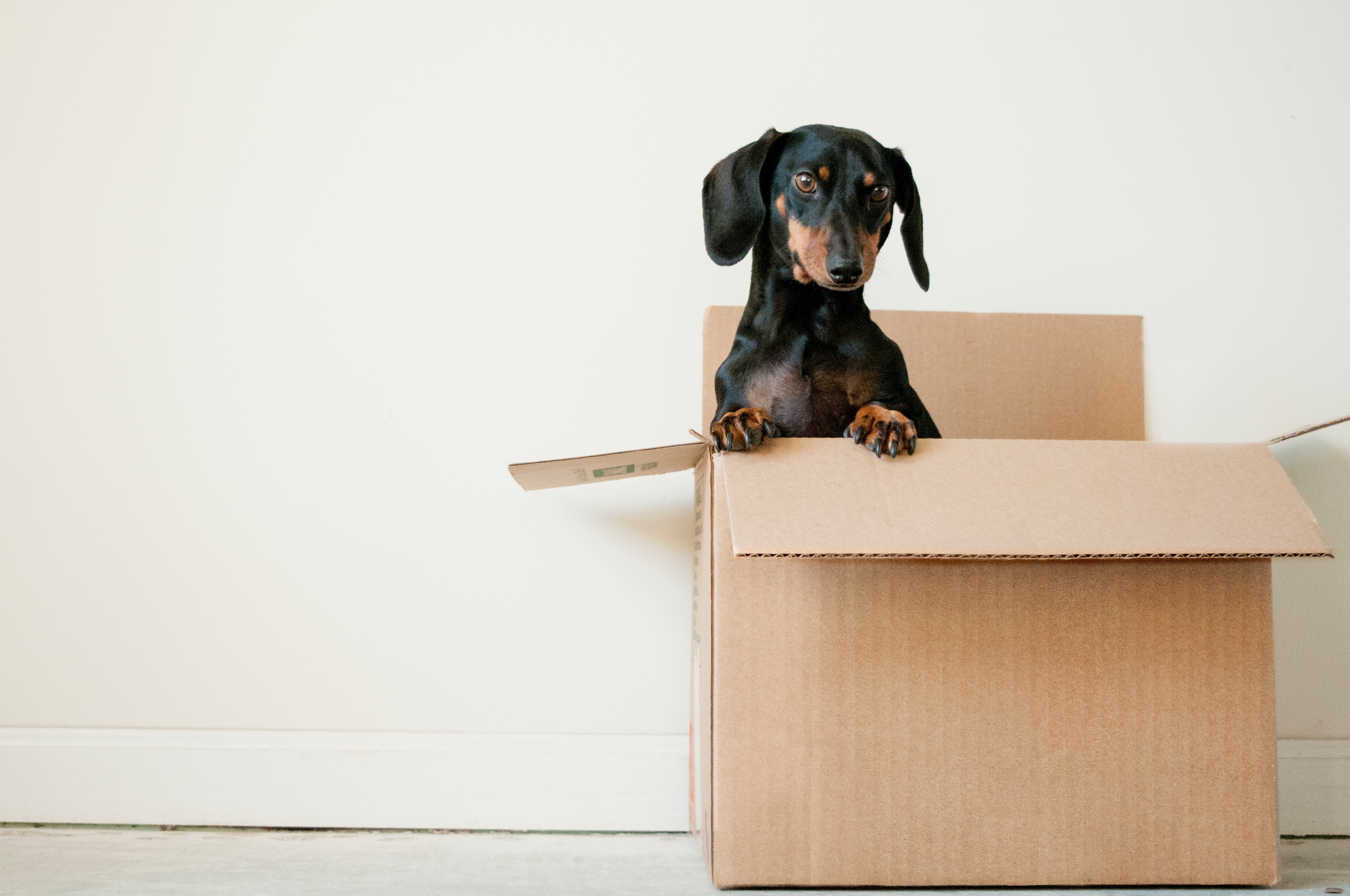海外移住時の荷物はどうやって送る?航空便or船便?国際宅急便の選び方